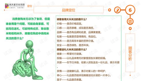 大米姐品牌營銷策劃案商業(yè)計劃書