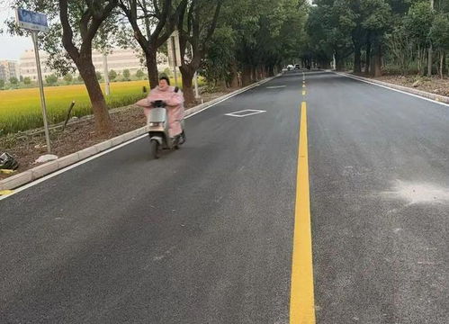 改造里程達(dá)46公里 2024年松江農(nóng)村公路提檔升級(jí)改造項(xiàng)目完工